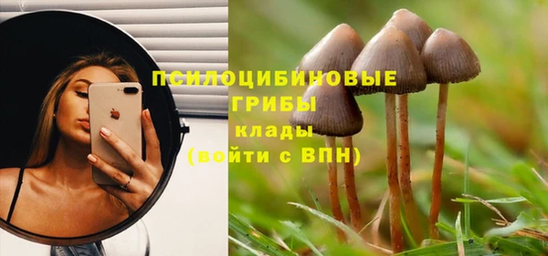 каннабис Белокуриха