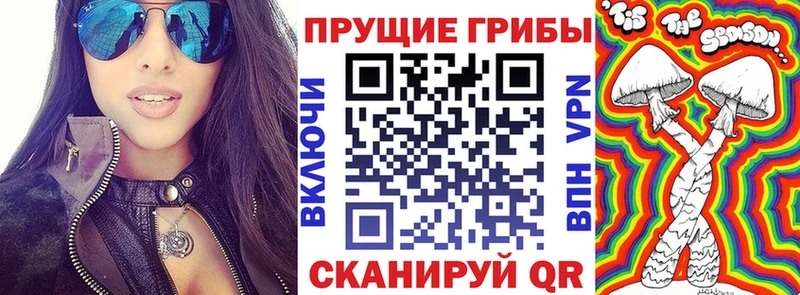 Купить  Нестеров  Псилоцибиновые грибы MAGIC MUSHROOMS 